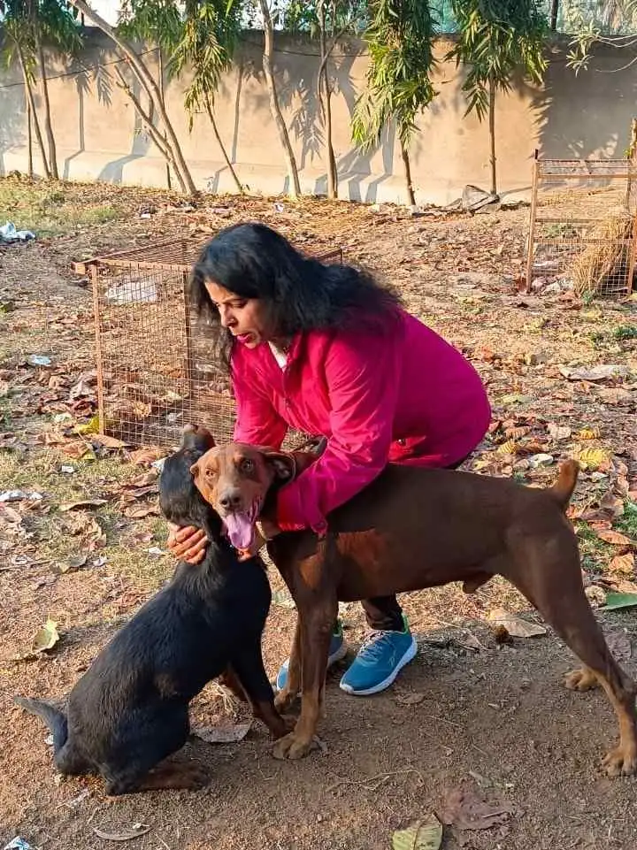 Animal welfare moment 8